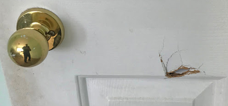 interior door hole repair Ripon