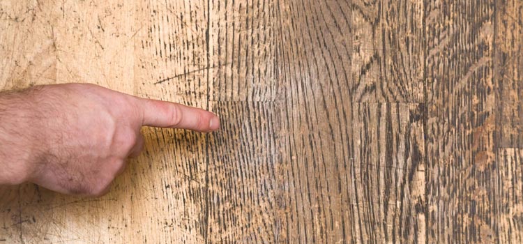 Wood Door Scratch Repair in Ripon