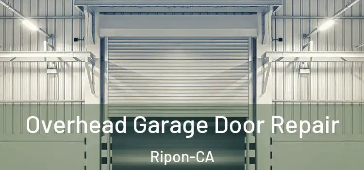 Overhead Garage Door Repair Ripon-CA